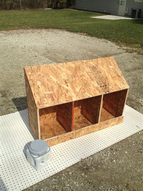 wooden nesting boxes for chickens